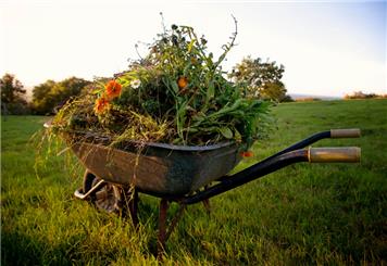 Campaign Launched to Tackle Green Waste Fly-tipping