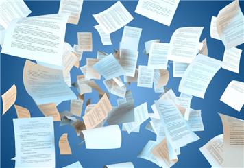 Highlights of the Parish Council Meeting November 2025